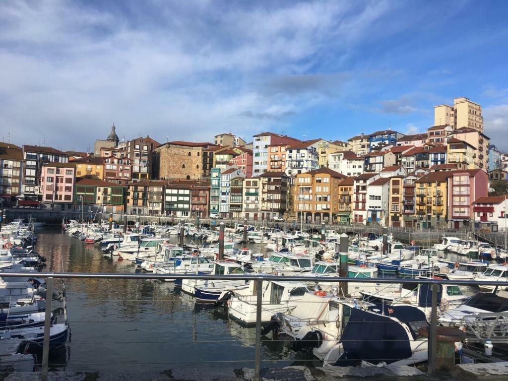 Apartamentos Urdaibai 2 ベルメオ エクステリア 写真